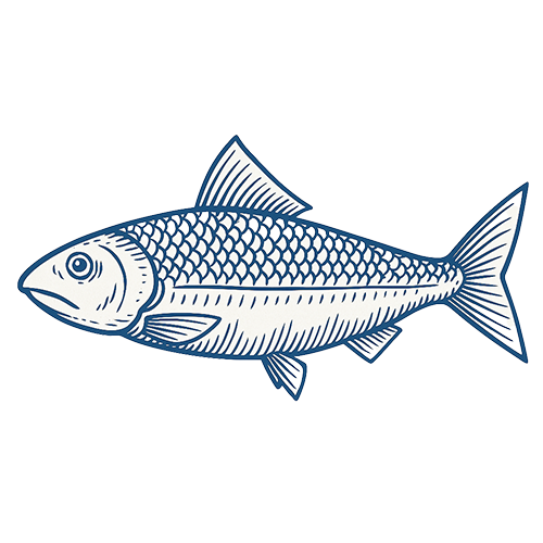 Kerneis Fisch